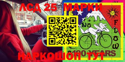 крисы Новозыбков