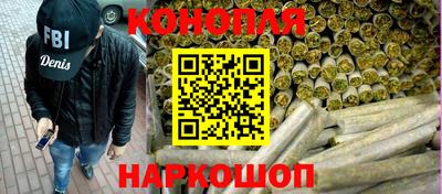 крисы Новозыбков