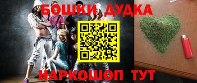 крисы Новозыбков