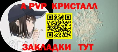 крисы Новозыбков
