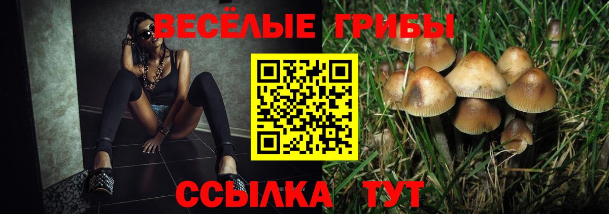 Отрадное  Галлюциногенные грибы мухоморы  Псилоцибиновые грибы прущие грибы  Вход с VPN 